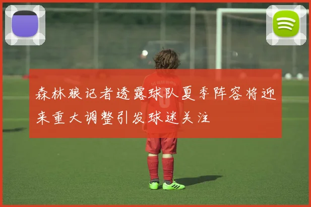 森林狼记者透露球队夏季阵容将迎来重大调整引发球迷关注